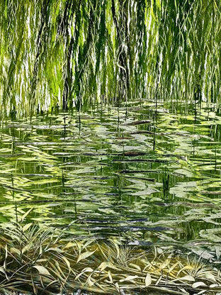Abbraccio verde